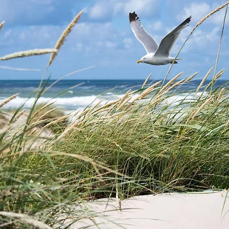 In Duinbergen By The Sailing Club *