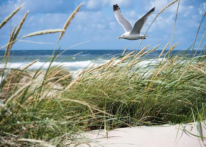 In Duinbergen By The Sailing Club *